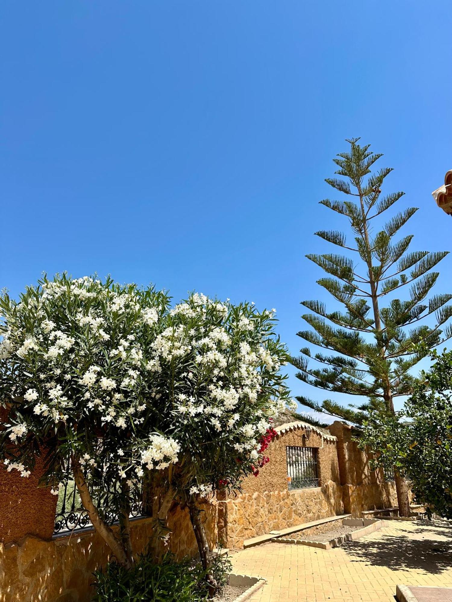 Casa Rural El Pomelo Zurgena Dış mekan fotoğraf